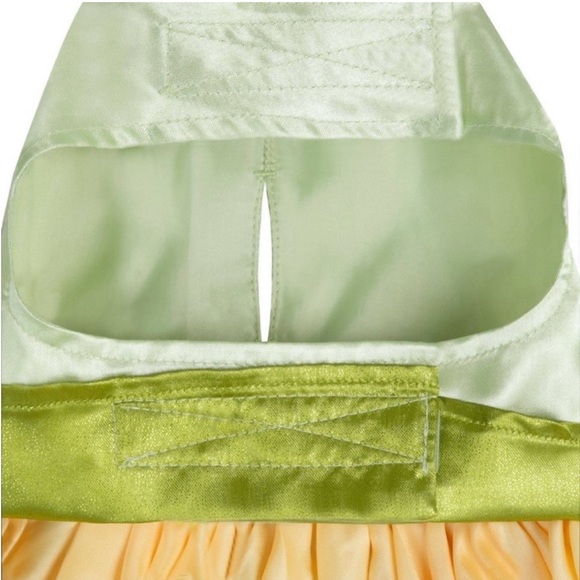 Disney Tails Princess Tiana Dog Costume - Picture 5 of 13